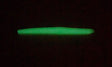 Milky Green Pumpkin Glow-in-the-dark